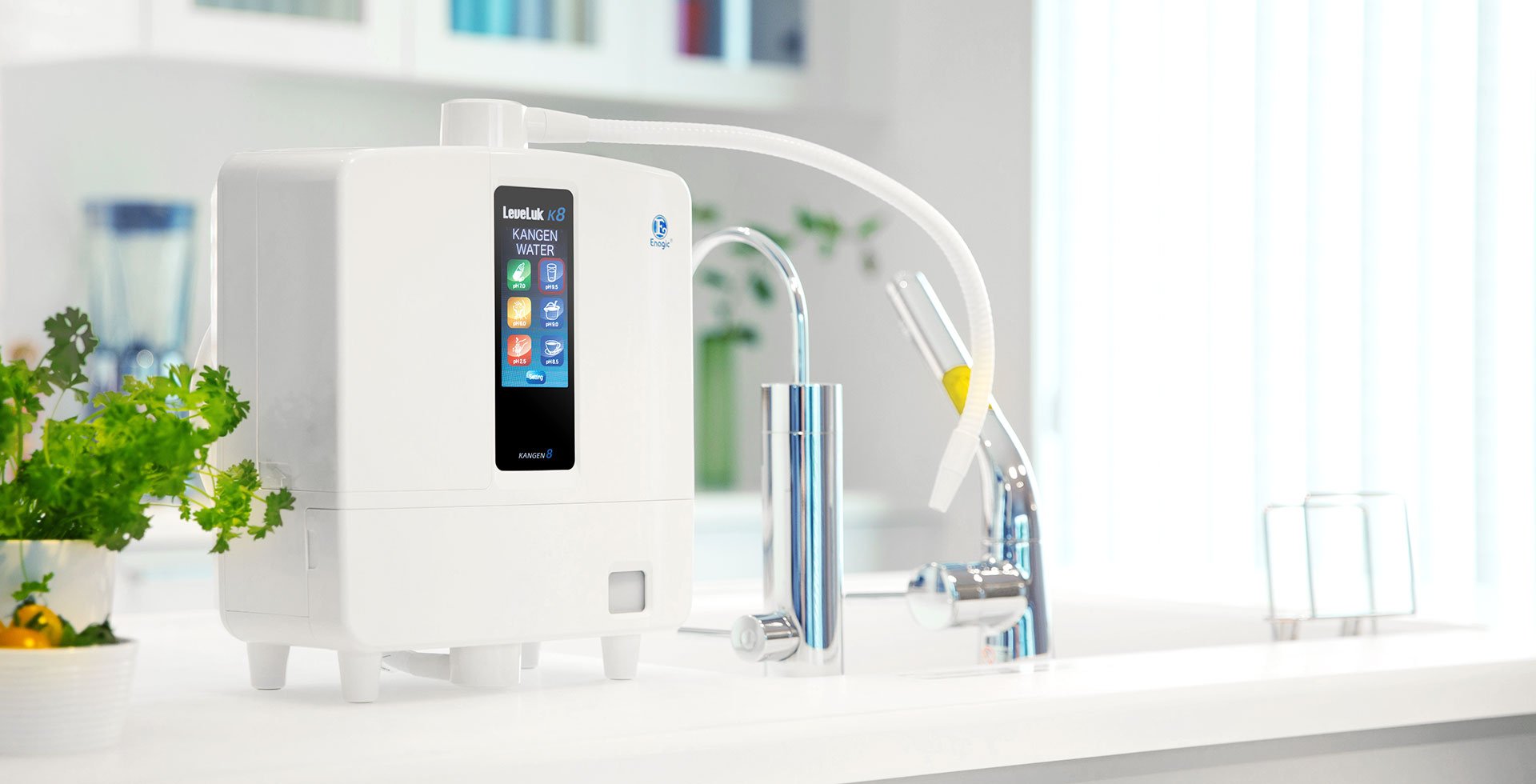 Leveluk-K8 - Essence For Life